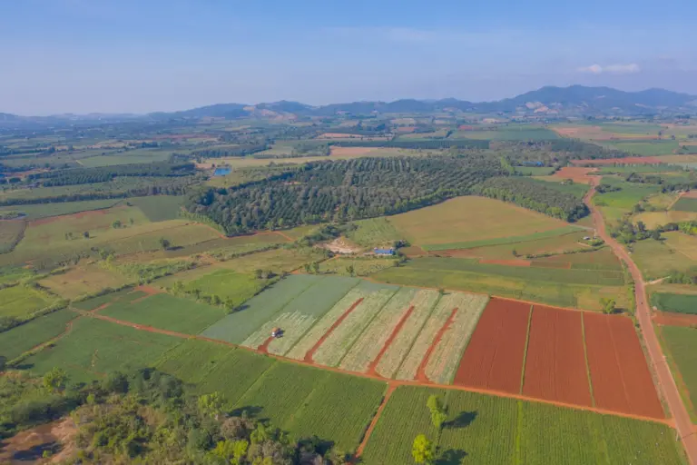 Vista de cima de uma fazenda